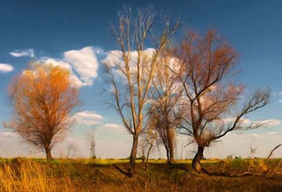 Fototapeta Autumn Landscape 3273