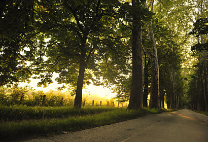 Fototapeta Country road 3259
