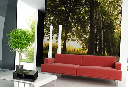 Fototapeta Country road 3259