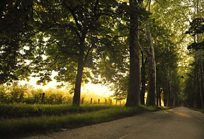 Fototapeta Country road 3259