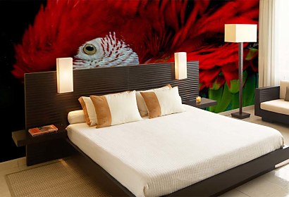 Fototapeta Parrot 113