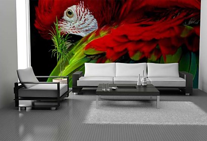 Fototapeta Parrot 113