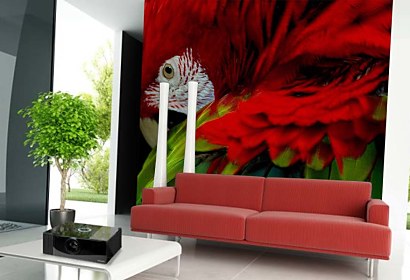 Fototapeta Parrot 113