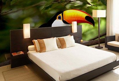 Fototapeta Toucan 3184