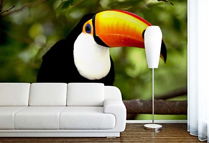 Fototapeta Toucan 3184