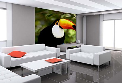 Fototapeta Toucan 3184