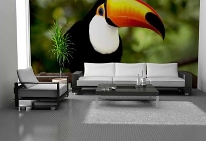 Fototapeta Toucan 3184
