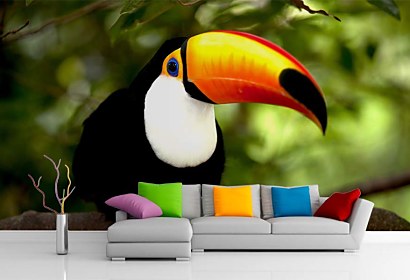 Fototapeta Toucan 3184