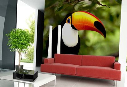 Fototapeta Toucan 3184