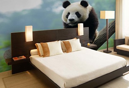 Fototapeta Panda 349