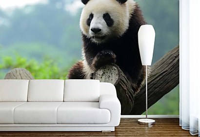 Fototapeta Panda 349