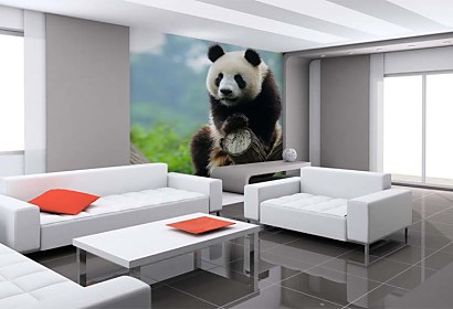 Fototapeta Panda 349