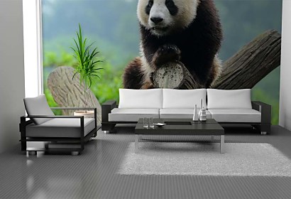 Fototapeta Panda 349