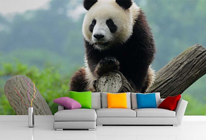 Fototapeta Panda 349