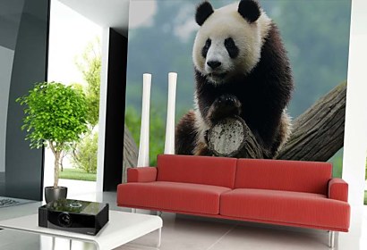 Fototapeta Panda 349