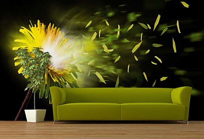 Fototapeta Dandelion 4512