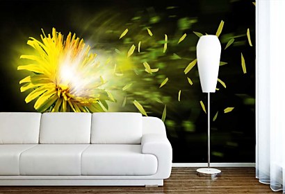 Fototapeta Dandelion 4512