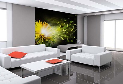 Fototapeta Dandelion 4512