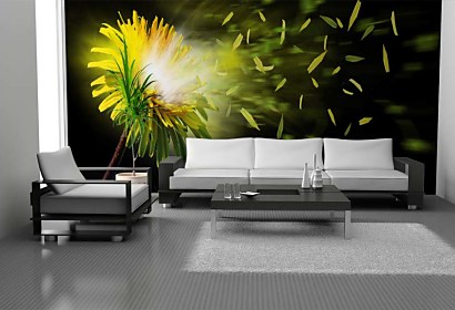 Fototapeta Dandelion 4512
