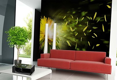 Fototapeta Dandelion 4512