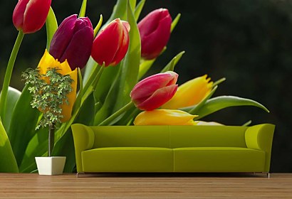 Fototapeta Bouquet of Tulips 3131