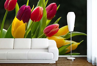 Fototapeta Bouquet of Tulips 3131