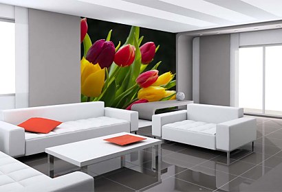 Fototapeta Bouquet of Tulips 3131