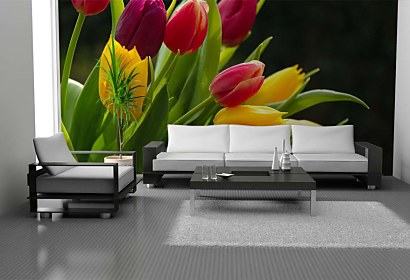 Fototapeta Bouquet of Tulips 3131
