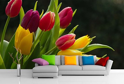 Fototapeta Bouquet of Tulips 3131