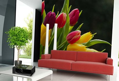 Fototapeta Bouquet of Tulips 3131