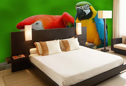 Fototapeta Parrots 3163