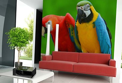 Fototapeta Parrots 3163