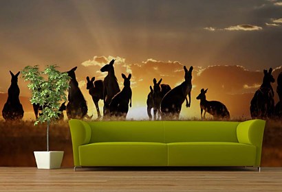 Fototapeta Kengury 3195