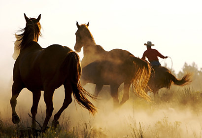 Fototapeta Cowboy 110