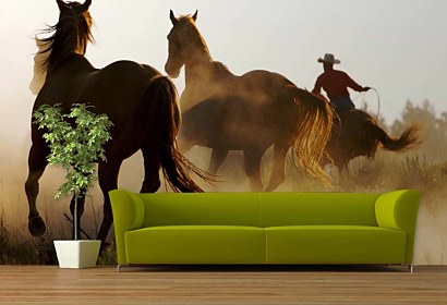 Fototapeta Cowboy 110