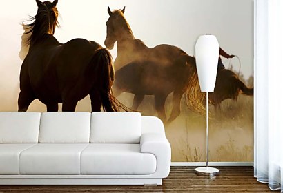 Fototapeta Cowboy 110