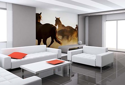 Fototapeta Cowboy 110