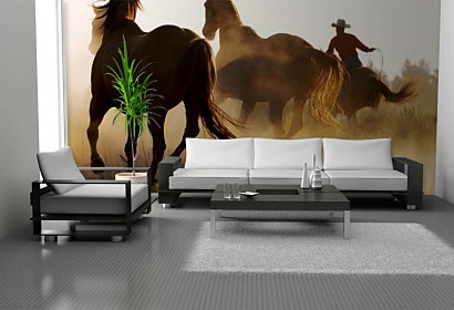 Fototapeta Cowboy 110