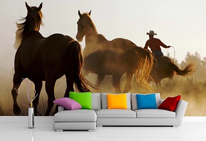 Fototapeta Cowboy 110