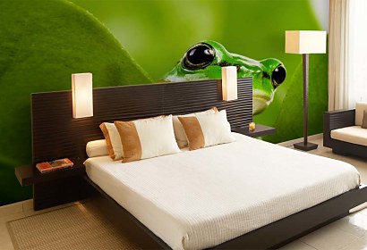 Fototapeta Frog 112
