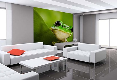 Fototapeta Frog 112