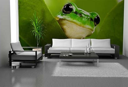 Fototapeta Frog 112
