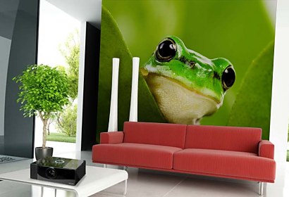 Fototapeta Frog 112