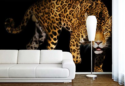 Fototapeta Panter 3153