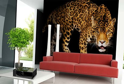 Fototapeta Panter 3153