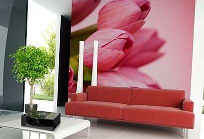 Fototapeta - Ružové tulipány Macro 3143