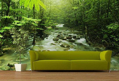 Fototapeta - Forest Stream 3227