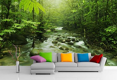 Fototapeta - Forest Stream 3227