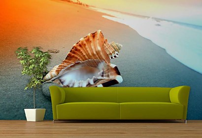 Fototapeta Shell on the beach 3223