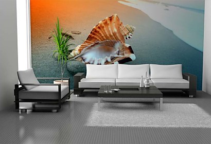 Fototapeta Shell on the beach 3223